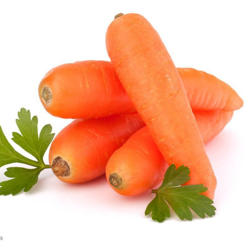 25kg春茬新鲜胡萝卜水果红萝卜视频