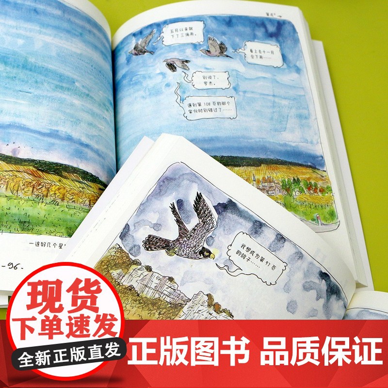 小花园365日 水彩手绘手账 养花观鸟生活美学绘本礼物书 艺术绘画书籍高清大图