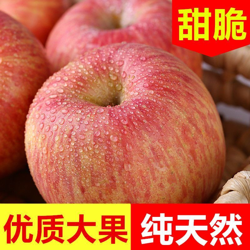 水果苹果红富士新鲜5斤大果苹果山东烟台当季无公害孕妇水果烟台栖霞红富士苹果水果新鲜当季丑苹果整箱