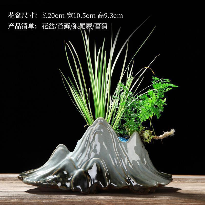 美帮汇禅创意陶瓷花盆简约个性菖蒲袖珍椰子植用室内组合盆栽装饰品高清大图
