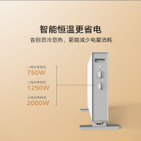 云米(VIOMI)云米对流电暖器踢脚线家用电暖器节能不干燥速热即热循环升温智能恒温 VXDL01