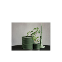 Loewe罗意威香氛烛台330g全系列 MARIHUANA