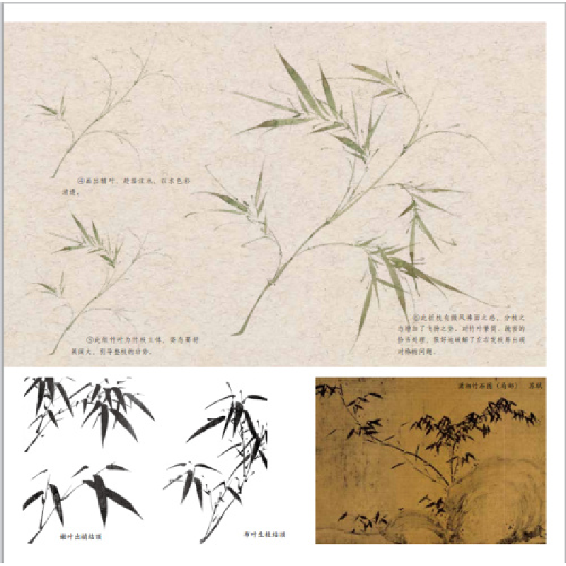 醉染图书没骨画技法教程 没骨竹子画法9787539343839高清大图