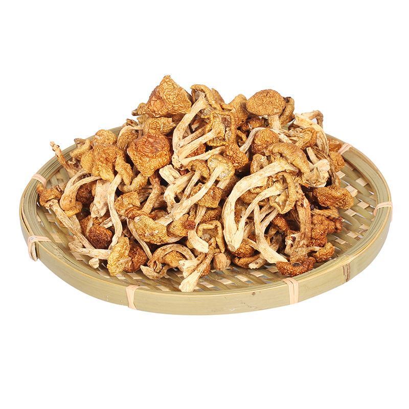 滑子蘑干滑子菇干货新鲜小鸡炖蘑菇非食用菌菇香菇类火锅煲汤