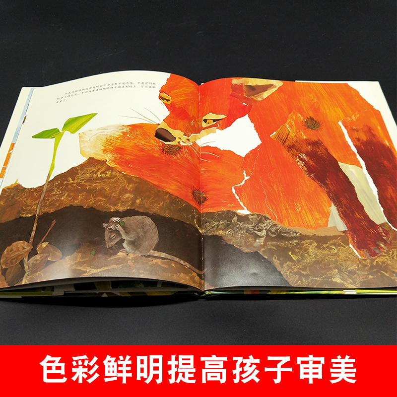 我的野生动物朋友(全新完整版) [正版]一粒种子的旅行绘本 7-12岁小学生课外阅读书籍青少年儿童文学儿童精装故事爱心树高清大图