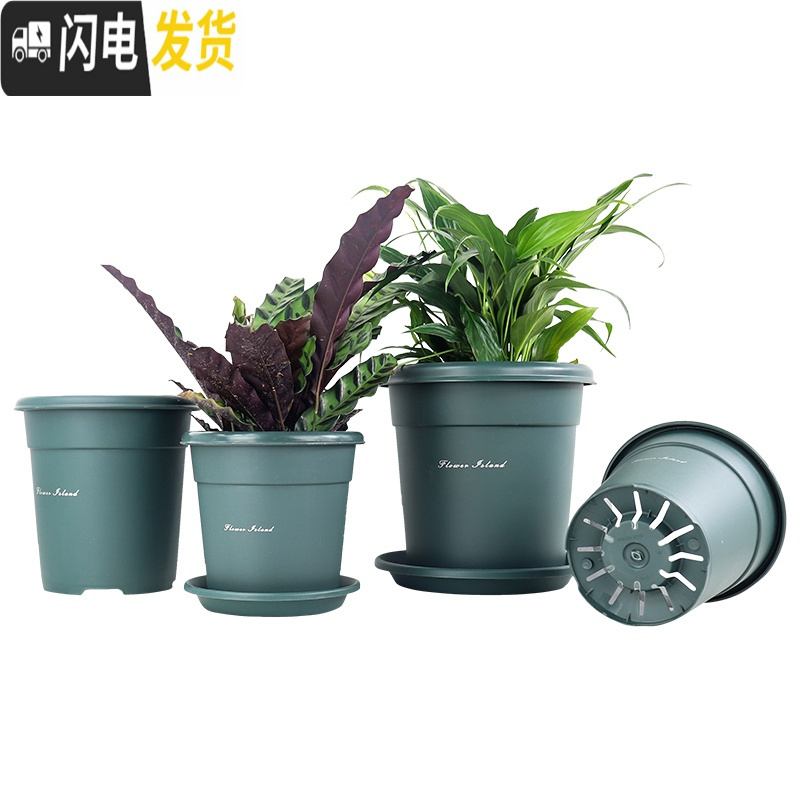三维工匠全新二代升级国产青山盆加厚塑料树脂控根透气多肉月季花盆 灰色[3号盆+托] 中等花盆容器
