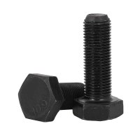 8.8 外六角头螺栓 M24*300 1个