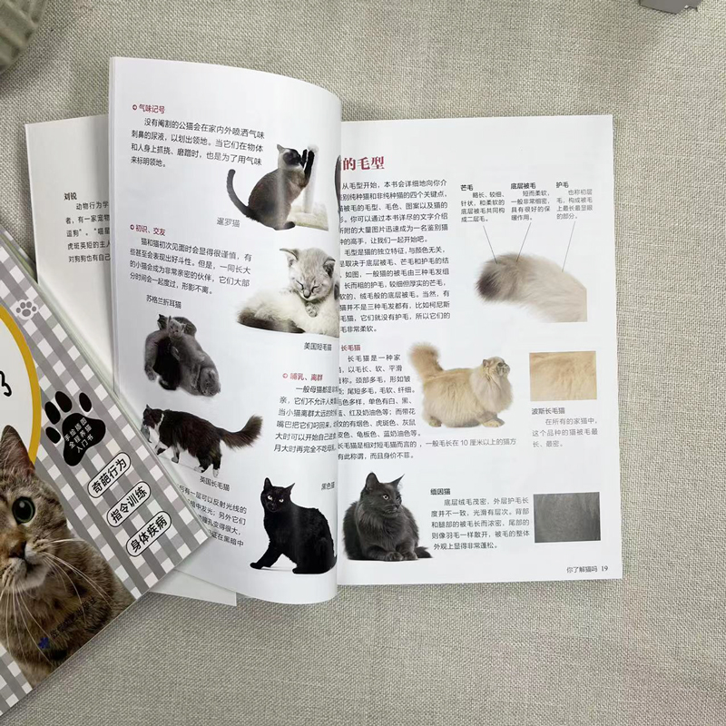[正版]全2册养猫这一本就够了+猫图鉴猫咪图鉴迎接猫猫的教养手册高清大图