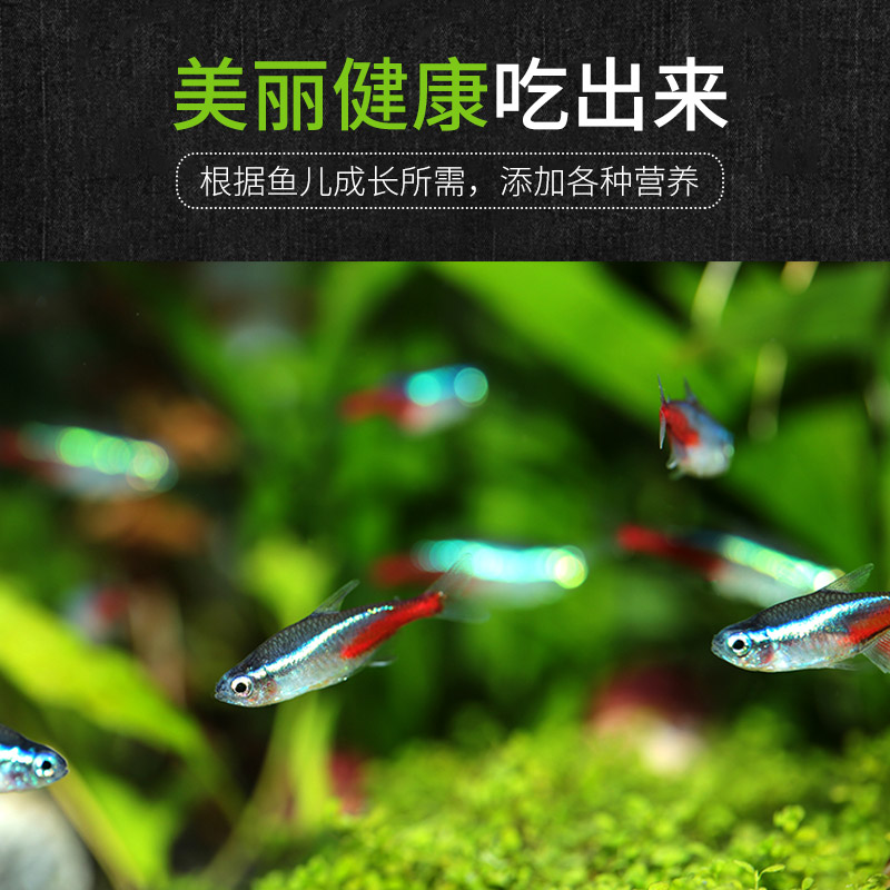 神奇宝贝小型鱼灯鱼饲料鱼缸水族箱增艳鱼粮观赏鱼缓沉细颗粒高清大图