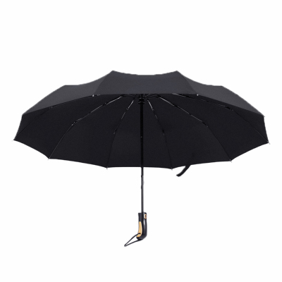 FEINUO菲诺简尚全自动雨伞男士女士十骨商务创意晴雨伞加大双人伞大伞