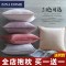 ZINA HOME色天鹅绒沙抱枕北欧简约现代靠垫床头抱枕套定制