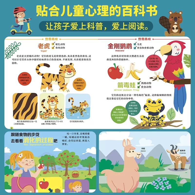 [单本]来!打开大自然 [正版]3-6岁法国儿童图解小百科 全套5册 幼儿认知小百科儿童绘本 幼儿园我们的身体交通工具打高清大图
