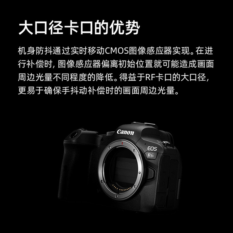 R6 +RF 24-105/4-7.1 STM
