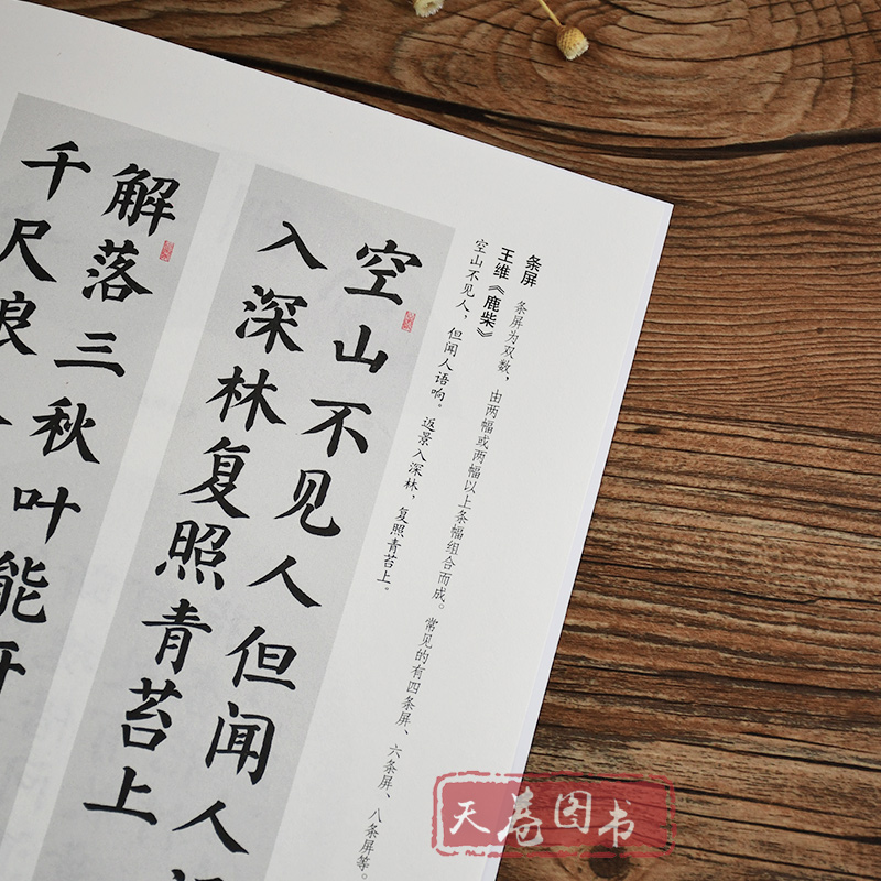 [正版]颜体楷书入门教程颜真卿多宝塔碑字帖颜勤礼碑初学者基础训练笔画间架结构描红临摹集字书法全集北京体育大学出版社颜真高清大图