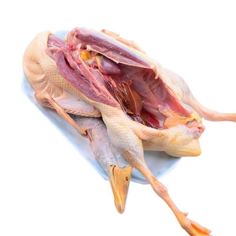 00评价赛卡伊 [5年老鸭]散养老鸭子农家土鸭水鸭麻鸭新鲜鸭子肉笨鸭整