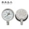嘉禾长久 不锈钢耐震压力表检测定制型 YTN100BF 块