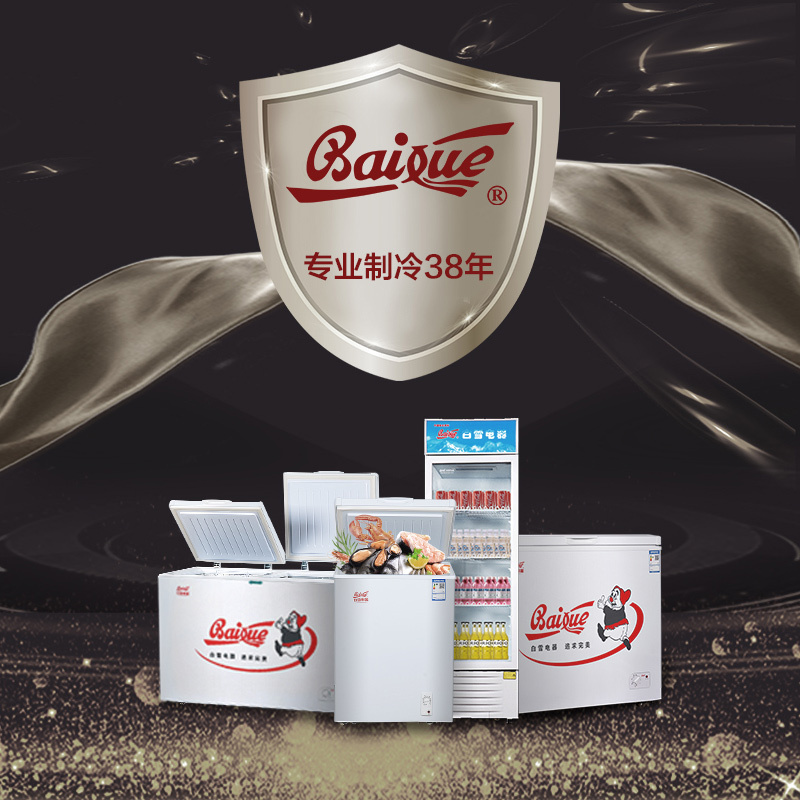 白雪(Baixue)BD/C-100DS100升家用 顶开门 卧式冰柜 冷冻冷藏可转换小型家用冷柜小冰柜