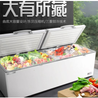 乐创冰柜商用双温速冻冷藏两用528双温