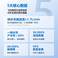 飞利浦(PHILIPS) 家用净水器Erie600 一级水效 1.7L/min末端流速 纯/净双出水RO反渗透纯水机AU
