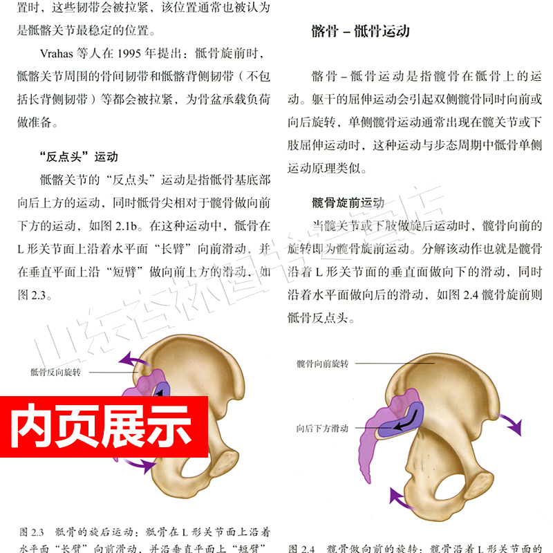 [正版] 骨盆和骶髂关节功能解剖手法操作指南 涵盖评估分析运动 肌肉 能量 技术及替代技 北京科技出版社高清大图