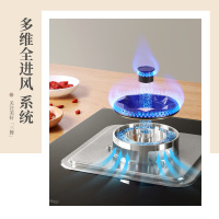 长虹C05燃气灶双灶家用5.2KW猛火灶台式嵌入式台嵌两用灶具-液化气