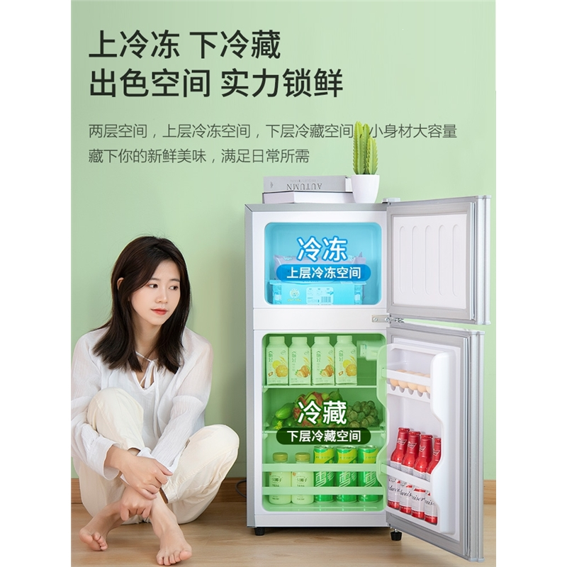 荣事达(Royalstar)小型冰箱家用小型宿舍出租房用冷冻冷藏双开门节能小冰箱_191双门]节能家用冰箱R191