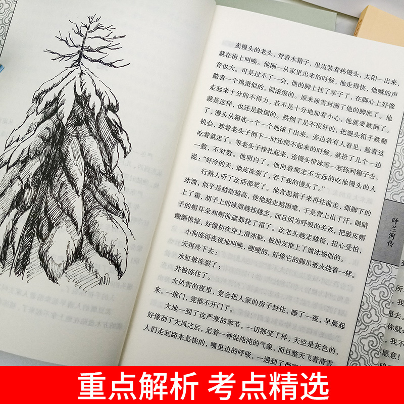 茶馆 老舍 正版书籍鲁迅全集故乡朝花夕拾狂人日记泰戈尔诗集生如夏花文学书籍书适合五六年级初一初中生看的必读课外书经典