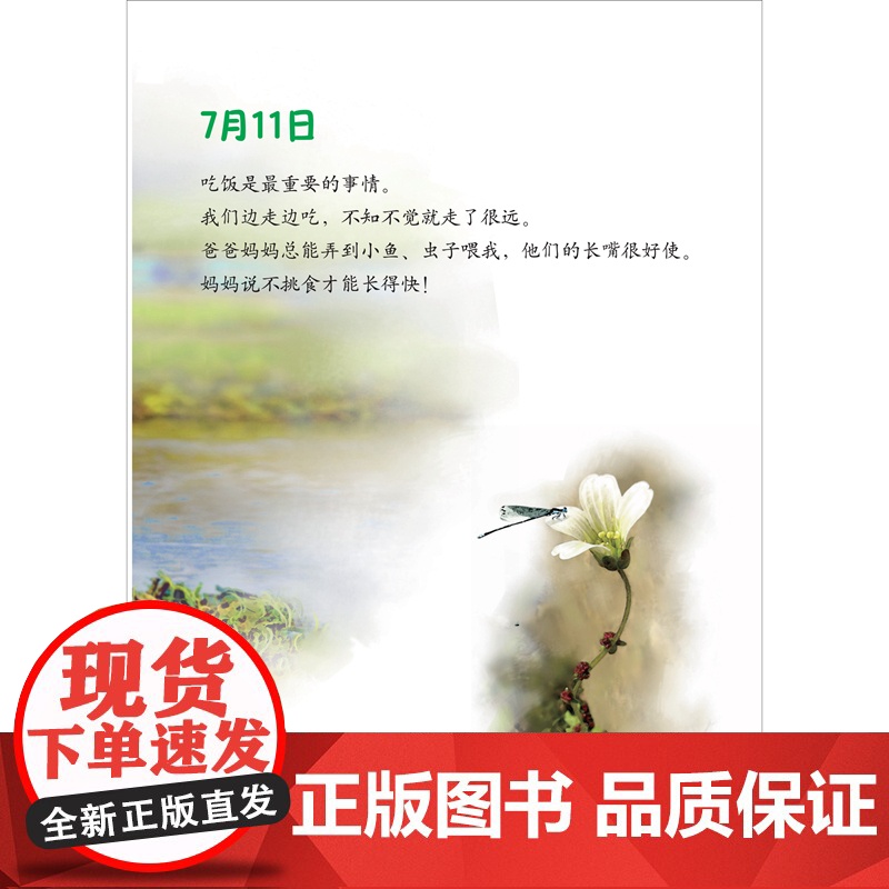 正版童书 日记(精装)(美慧树原创绘本)高清大图