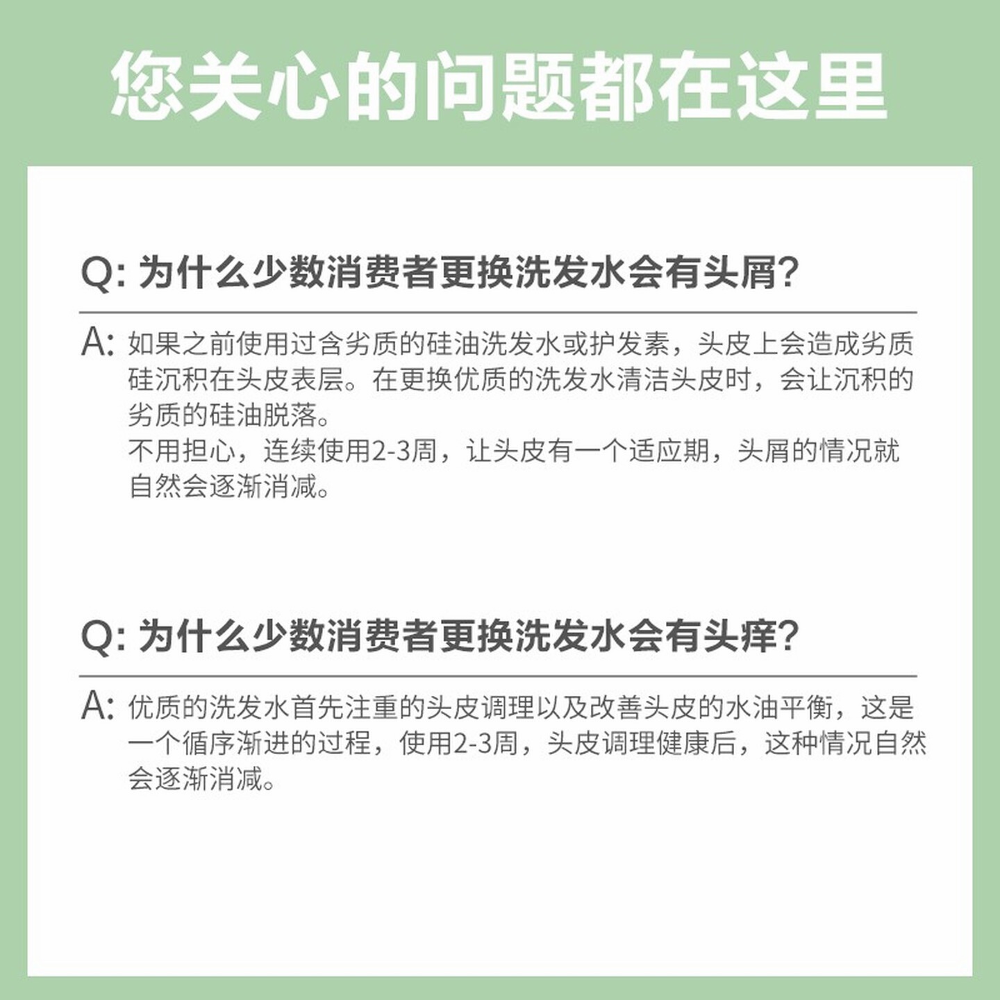 柏缇 海藻去屑止痒洗发水 舒缓留香氨基酸男女通用洗发露洗头膏 505ml高清大图