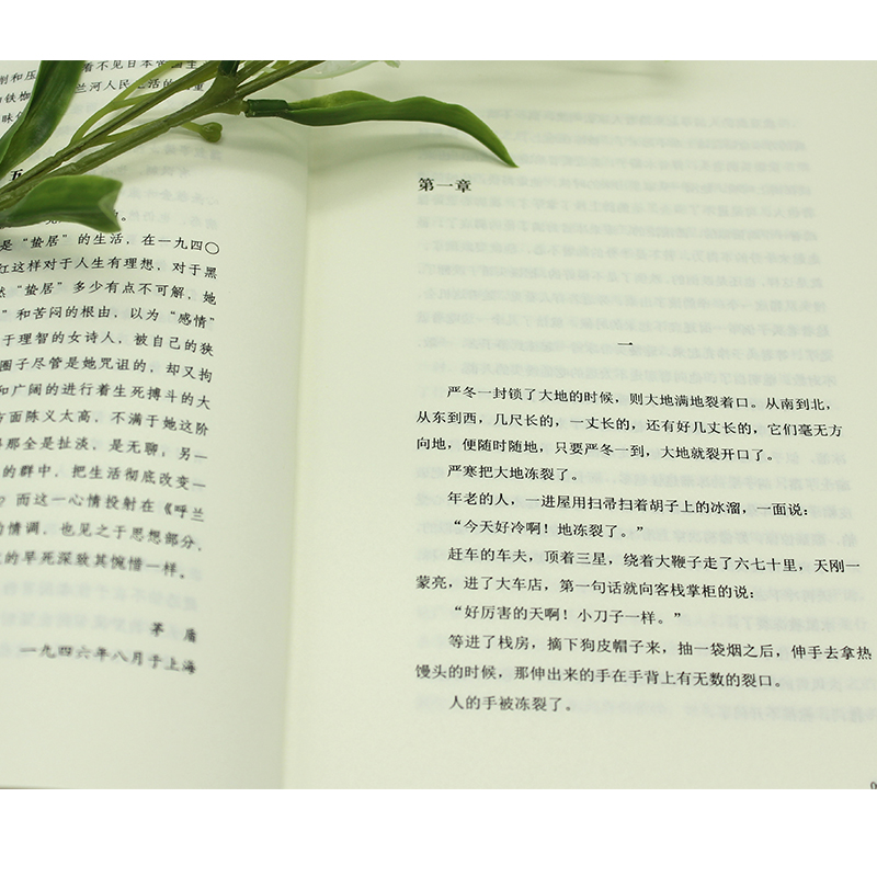 醉染图书呼兰河传9787561399736高清大图