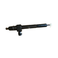 元诚 重卡运输车卡车斯太尔陕汽SX2150K喷油器总成喷油器军车器材零件配件