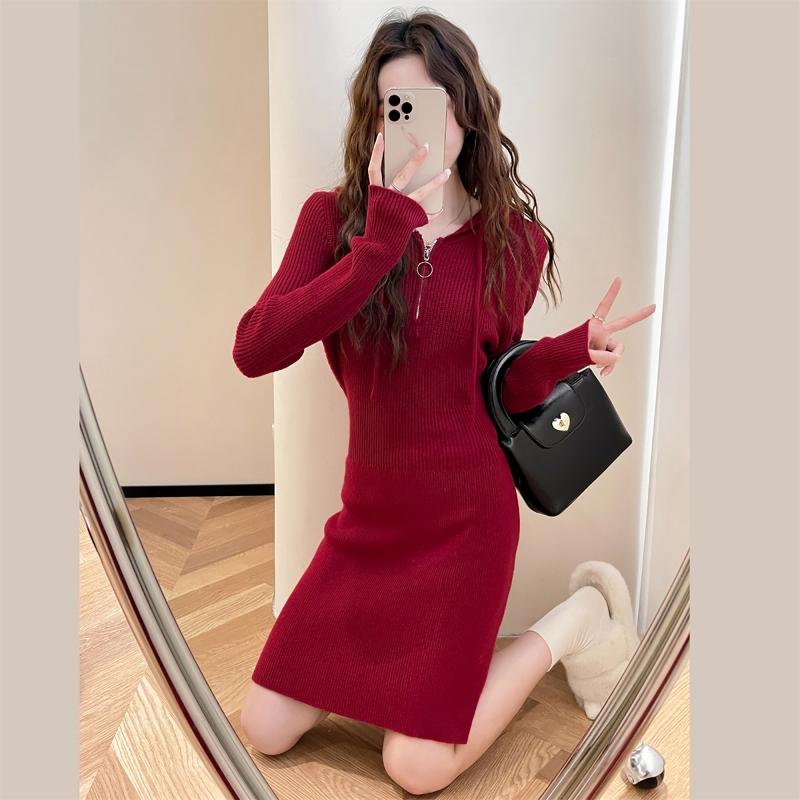 唐狮秋冬季连衣裙新款女秋季女装连帽针织毛衣裙小红帽裙子qd