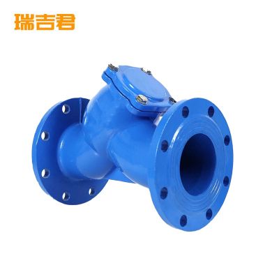瑞吉君 铸铁法兰Y型过滤阀 DN25 个