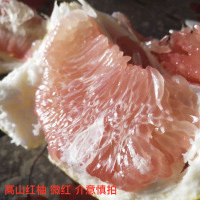 福建平和琯溪红心柚1个大果 单果2.4-3斤 亲多多柑橘 (3件起拍 拍3件合并发1箱共8-9斤)