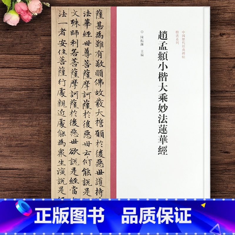 【正版】赵孟頫小楷大乘妙法莲华经 赵孟俯字帖 中国历代经典碑帖 楷书系列 书法字帖碑帖 楷书书法赏析书籍 河南美术出版