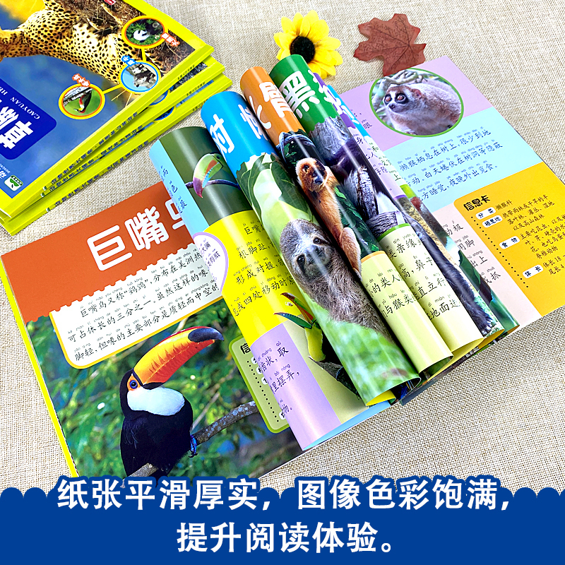 雨林和湿地动物(任选三本有优惠) [正版]雨林和湿地动物世界大探索 注音版3-6-9岁儿童科普百科图画书 亚马逊鳄鱼河马
