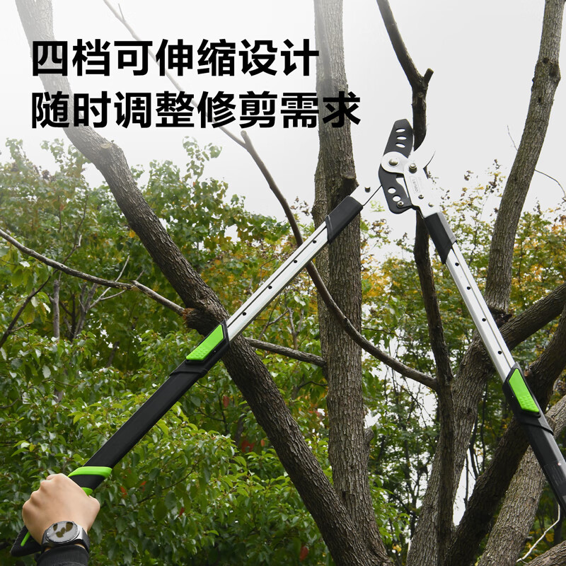 得力(deli)园艺剪刀修剪树枝家用花草剪粗枝修剪强力绿化篱剪园林大剪刀DL580334 1把