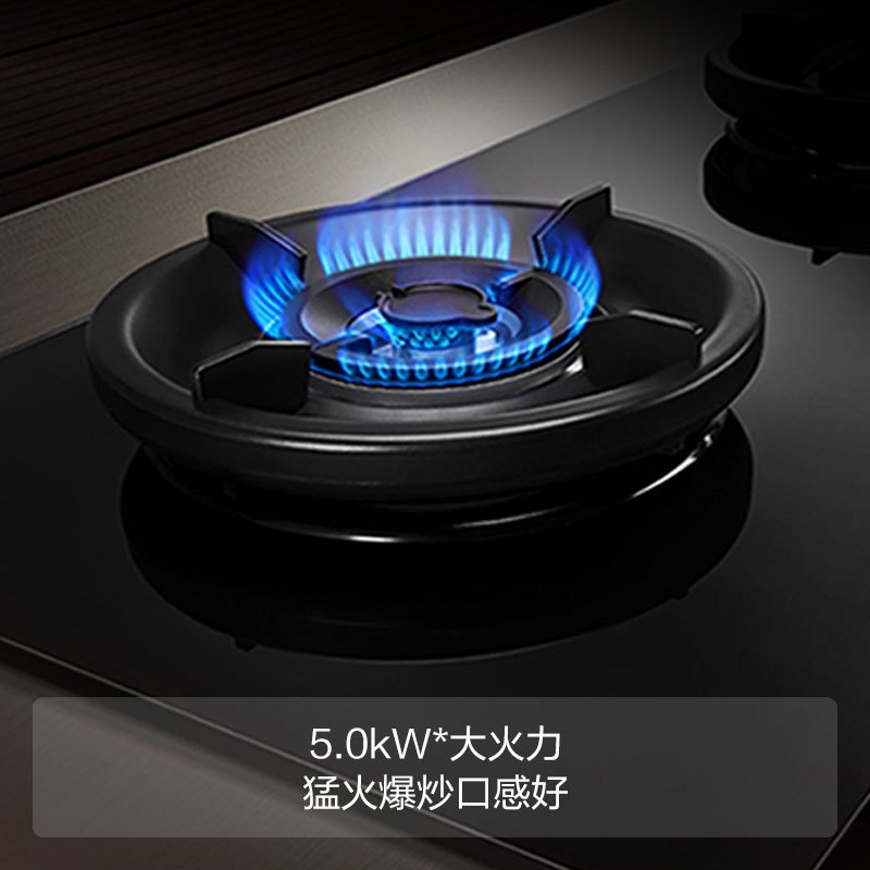 方太燃气灶(天然气)家用灶具 5.0kW*超大火力 70%热效率 JZT-HE01CB [线下同款]