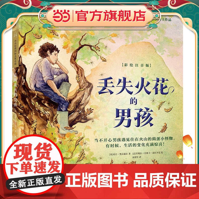 丢失火花的男孩高清大图