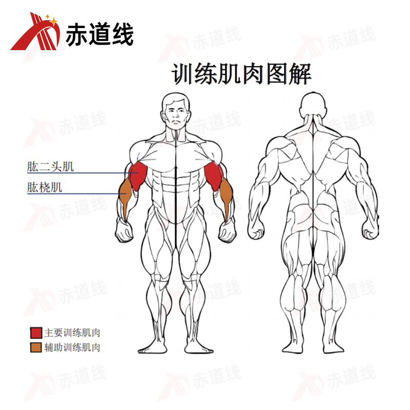 二头肌训练器综合训练器CDX-A523S-BFT2050B高清大图