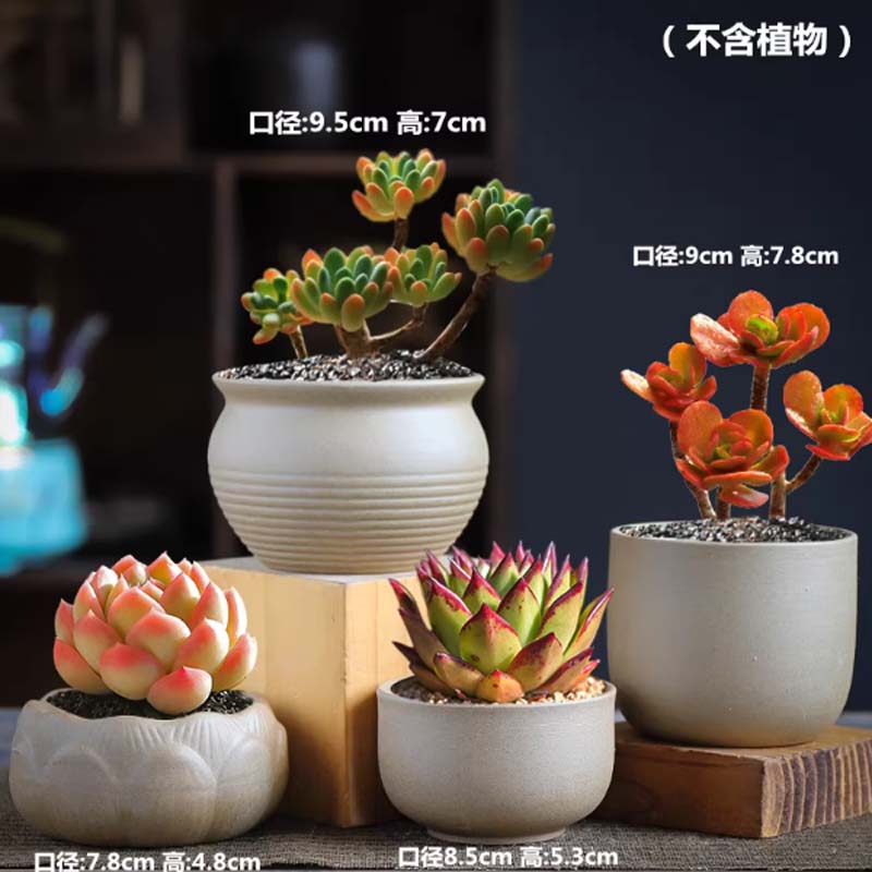 粗陶花盆 粗陶混搭4个高清大图