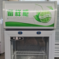食品留样柜 商用小型幼儿园食堂小冰箱 厨房透明冷藏柜 400*400*800/40L