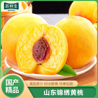 [苏鲜生] 山东新鲜锦绣黄桃 蜜桃 新鲜水果 净重4.5斤 应季现摘脆甜毛桃子 整箱