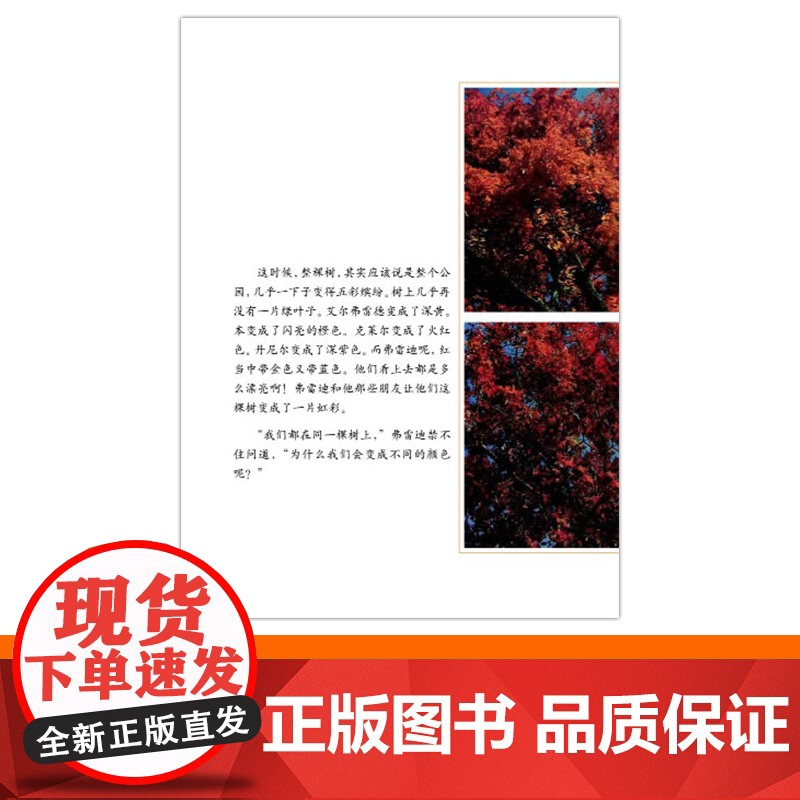 一片叶子落下来硬壳精装图画书适合3-4-5-岁以上幼儿启蒙早教认知系列睡前亲子阅读书籍爱心树绘本关于生命的故事正版童书高清大图