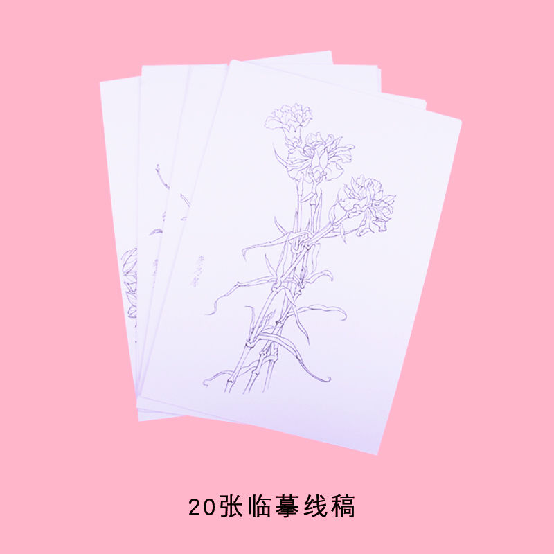 水彩画填色本白描线稿儿童绘画临摹底稿初学者手绘上色涂色本彩铅 水彩填色本20张