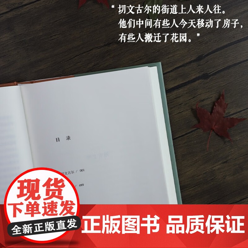 切文古尔 安德烈·普拉东诺夫 著 小说高清大图