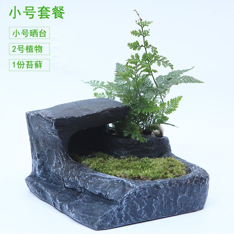 乌龟晒台爬台大号水龟缸造景浮岛爬坡巴西龟晒背台躲避洞穴晒龟台高清大图