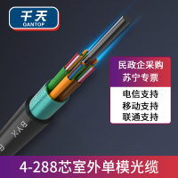 千天(QANTOP)电信级GYTA室外层绞式铠装光缆 单模重铠装光纤线 层绞式架空/管道单模光纤线网线 36芯100米