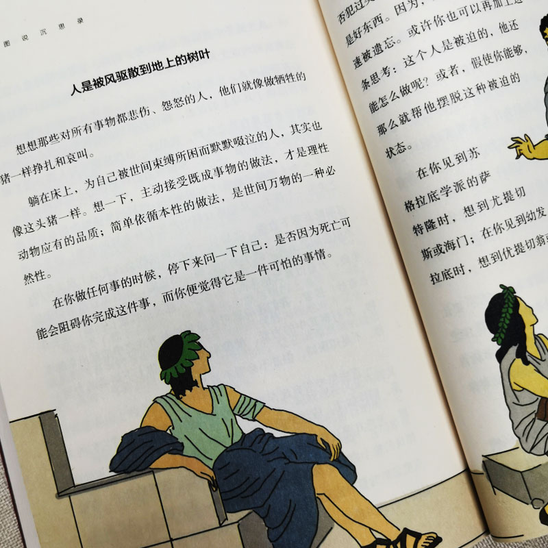 [正版]全2册 图说沉思录+理想国柏拉图著 西方人生与哲学书籍 人类历史具有永恒价值的人生哲学和处世智慧 西方哲学处世高清大图