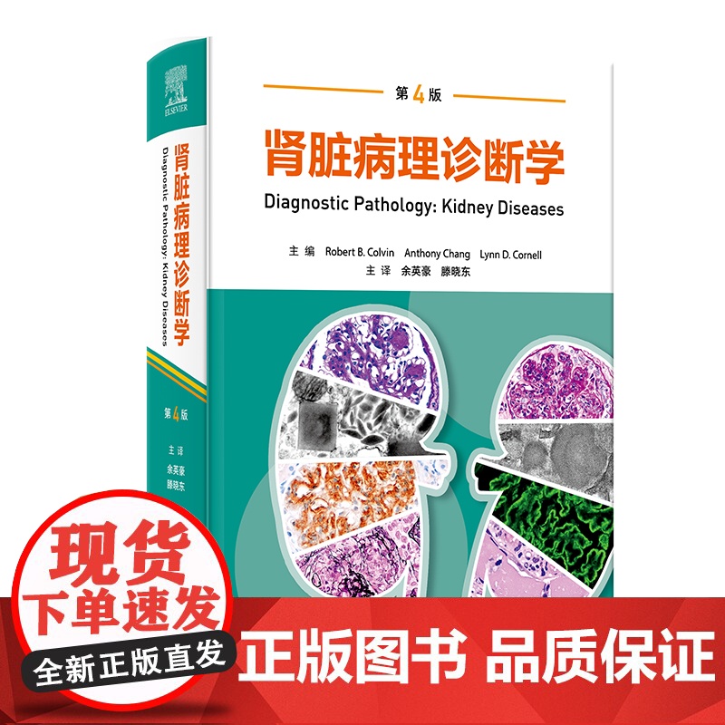 肾脏病理诊断学 第4版翻译版 余英豪 滕晓东 译 人民卫生出版社9787117374088
